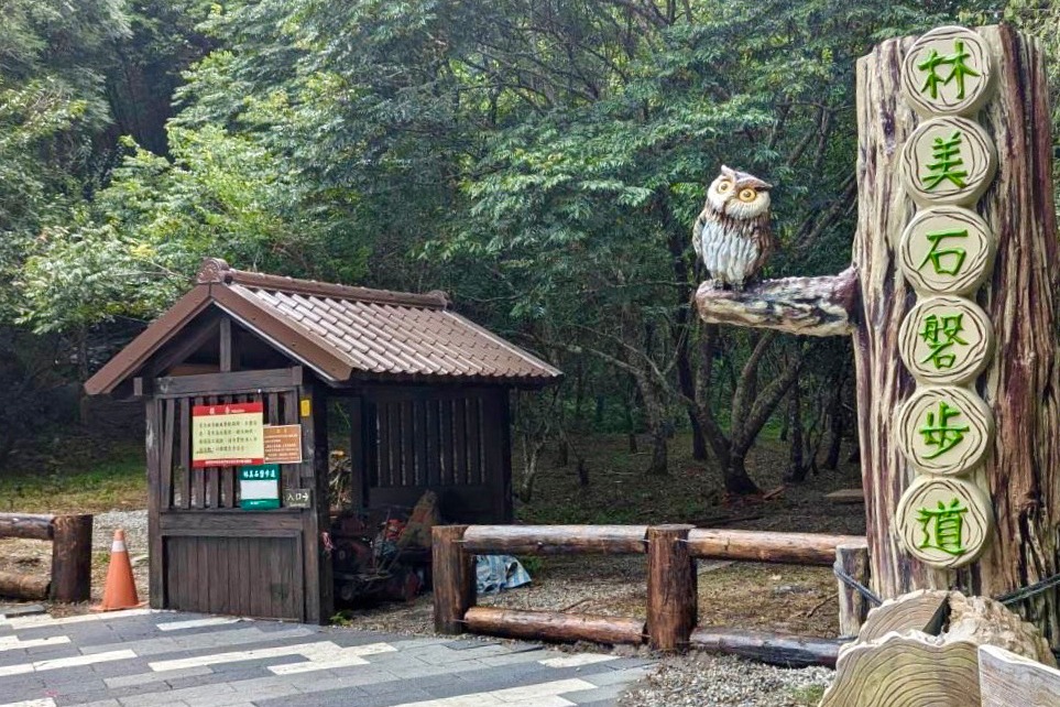 金字塔