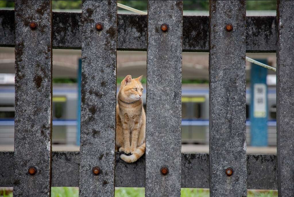 金字塔